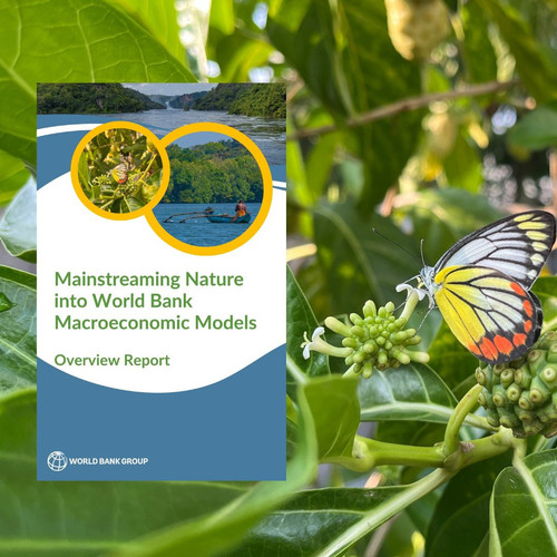 G iJA8UXkAAS5LM?format=jpg.jpg