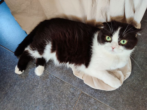 G ij0QPXkAAsAyw?format=jpg.jpg