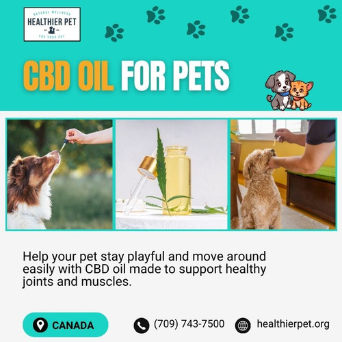 CBD Oil For Pets in Canada.jpg