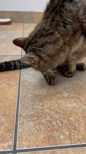 HliI3VgYaZ PePGG.jpg