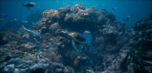 karim abou shousha 03.jpg