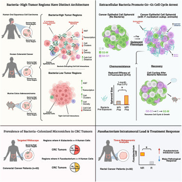 G gTqbQaIAA6eQp?format=jpg.jpg