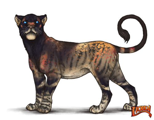 lioden wardrobe (13).png