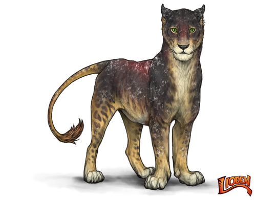 lioden wardrobe (14).png