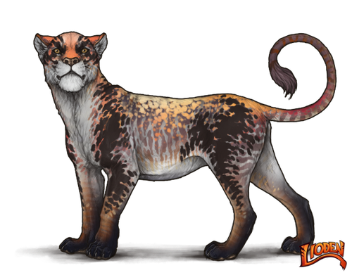 lioden wardrobe (12).png