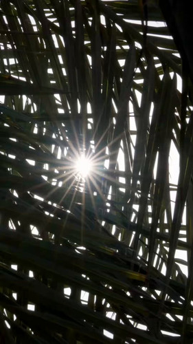 v G3S6pPtpm4ExIH.jpg