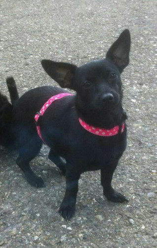 20024161 10213741418195494 385427358586651193 o.jpg