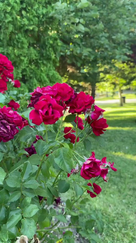 pOOl VxzWoTPqh1q.jpg