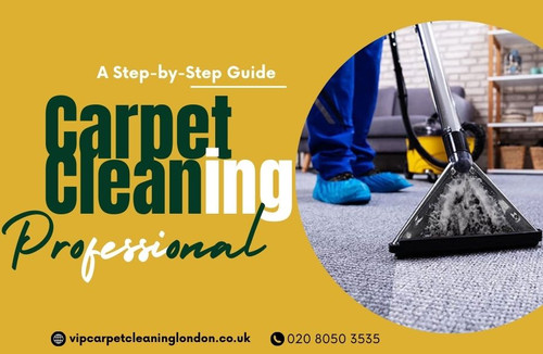 A Step by Step Guide to Your Professional Carpet Cleaning.jpg