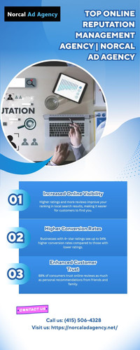 Top Online Reputation Management Agency NorCal AD Agency.jpg