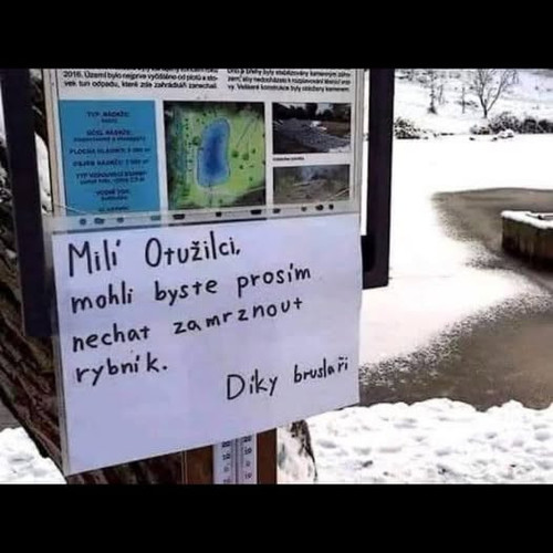 612598302 1386063830217553 6465676668591589012 n.jpg