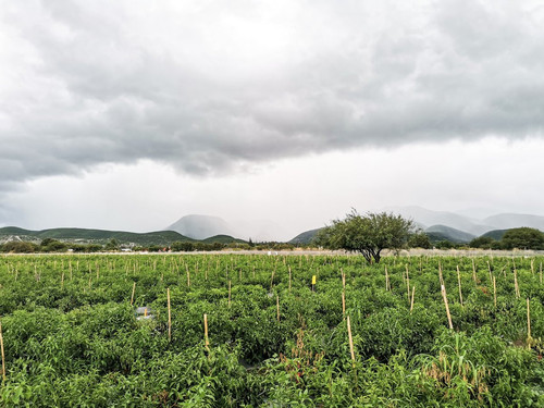 G fiANVWUAA2U8S?format=jpg.jpg