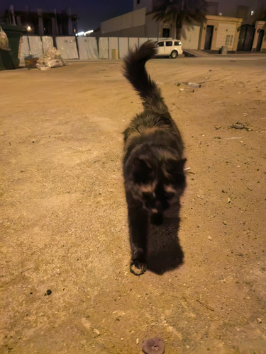 G feKD WMAAm1sA?format=jpg.jpg