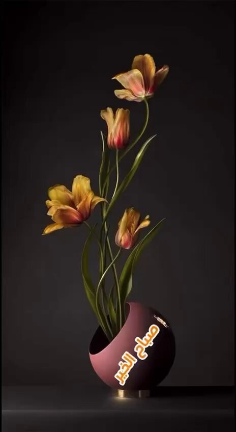 mr O1q59iDLKWCtR.jpg