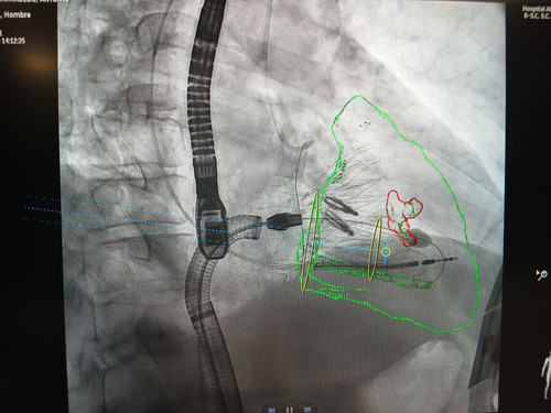 G d8xD7WoAAlHXW?format=jpg.jpg