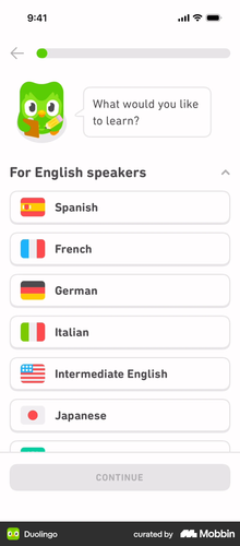 Duolingo iOS 4.png