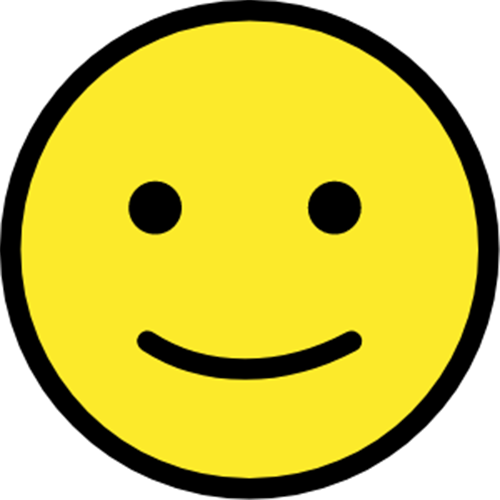 slightly smiling face.png