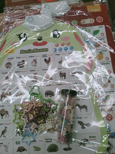 WhatsApp Image 2026 01 13 at 14.01.27.jpg