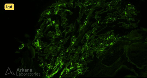 G d9pU4X0AMaa7J?format=jpg.jpg