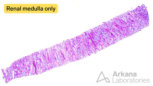 G d9y1UWkAARtpT?format=jpg.jpg