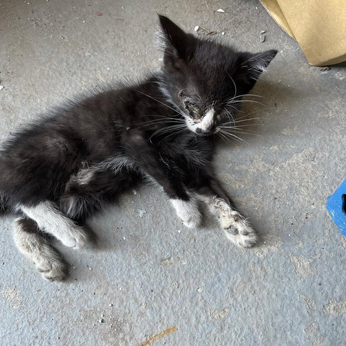 G d2V5nX0AAoPcR?format=jpg.jpg