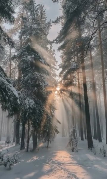 G g4pfyWkAATvXF?format=jpg.jpg