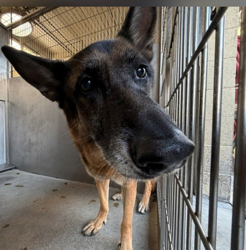 G9UMUlhXwAA J E?format=jpg.jpg