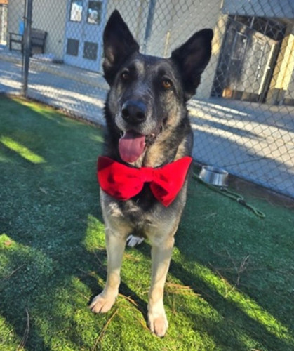 G9ehe 3XkAAl Q ?format=jpg.jpg