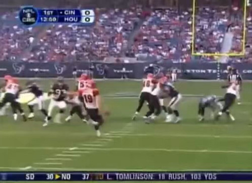 pot3Uvd4qD cikM .jpg