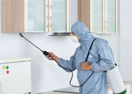 Professional Pest Control Melbourne.jpg