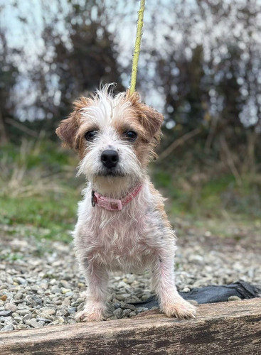 G dg5jtXoAETBmY?format=jpg.jpg