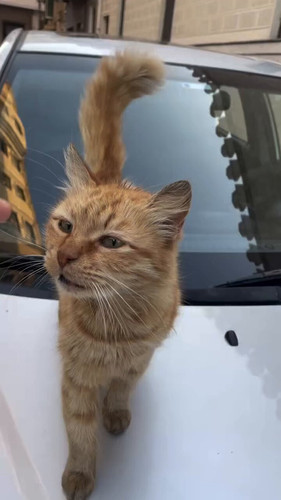 r PbvMeH2xtz3qk9.jpg