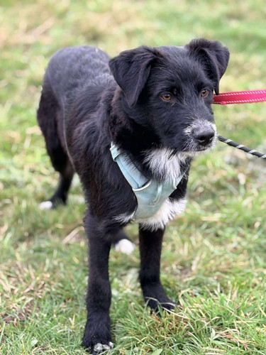 G Pp15CXsAEzbW5?format=jpg.jpg