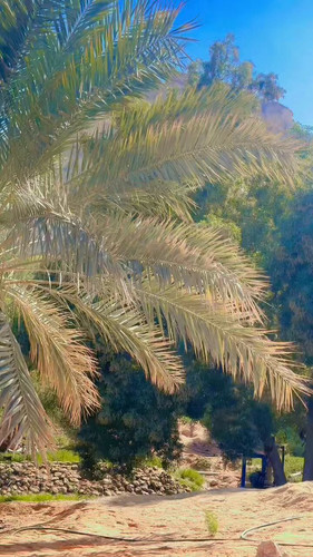 OiyGq61yDiO piLW.jpg