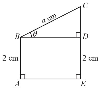 9da410837e6b.jpg
