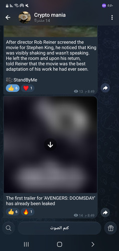 Screenshot ٢٠٢٦٠١١٤ ١٧٥٠٠٤ Telegram.jpg