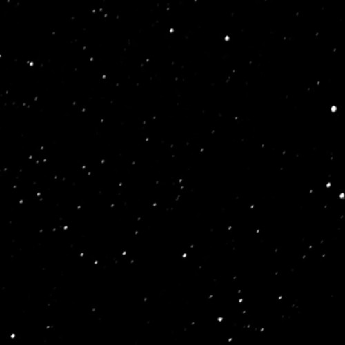 1900118264 1768400952.jpg