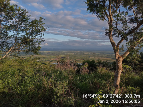 IMG 20260102 165605.688 0.jpg