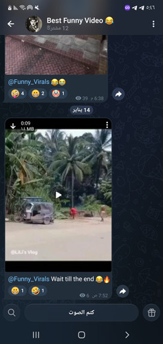 Screenshot ٢٠٢٦٠١١٤ ١٧٤٦٣٦ Telegram.jpg