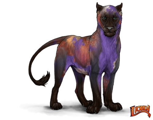 lioden wardrobe (24).png