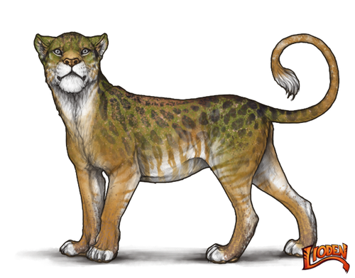 lioden wardrobe (22).png