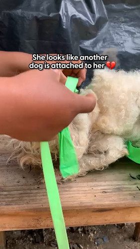 EcrahRqlCrsf4 kv.jpg