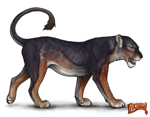 lioden wardrobe (31).png