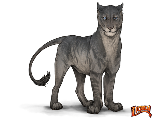 lioden wardrobe (32).png