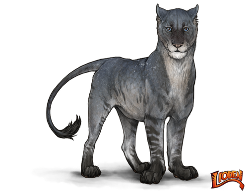 lioden wardrobe (33).png