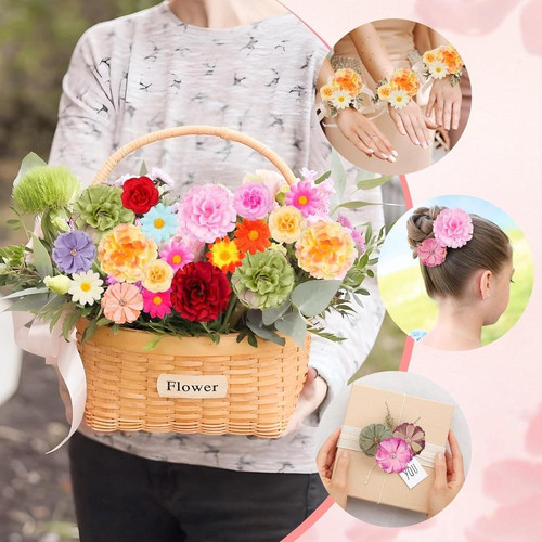 81g7SBzK0oL. AC SL1500 (1).jpg