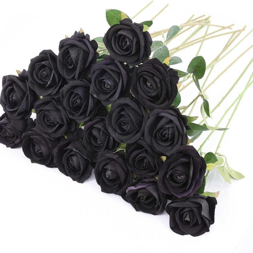 714e90Uq39L. AC SL1500 (1).jpg