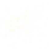 Sparkler 2