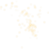 95