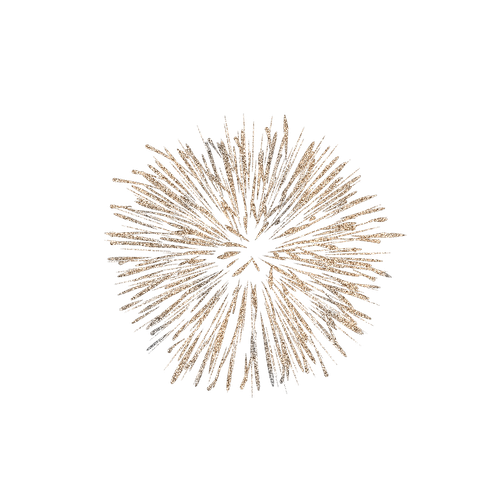 fireworks1.png